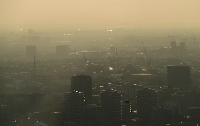 What is Smog?